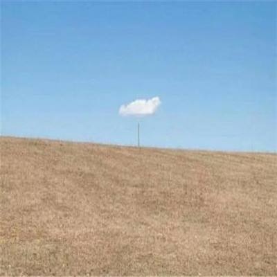 m6米乐官方app下载截图